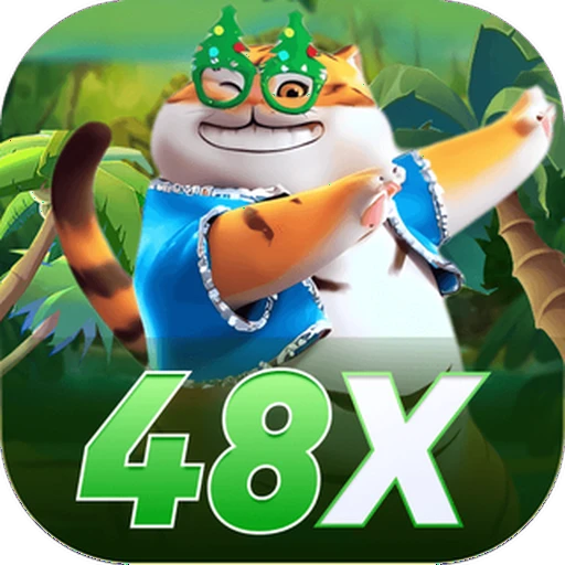 48X slots